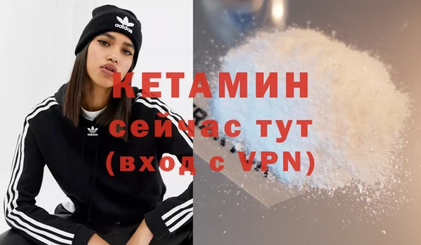 гидра Елизово