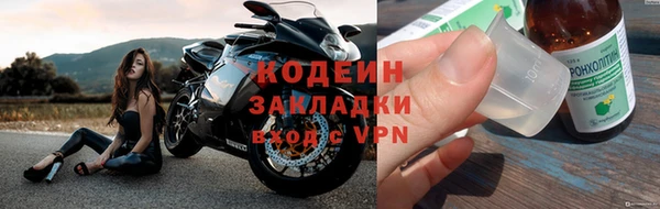 гидра Елизово