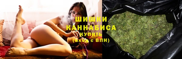 гидра Елизово