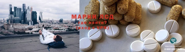 гидра Елизово
