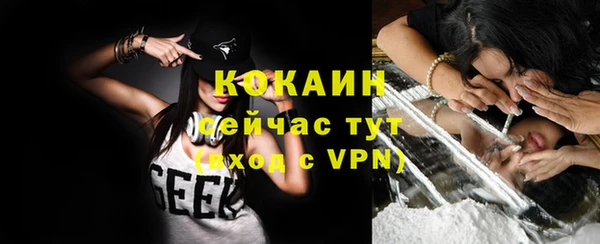 гидра Елизово