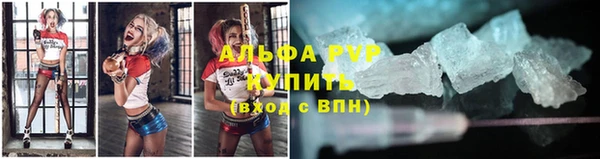 гидра Елизово