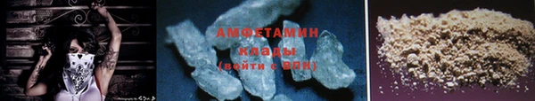 гидра Елизово