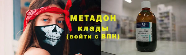 гидра Елизово