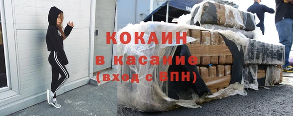 гидра Елизово