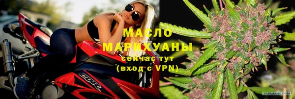 гидра Елизово