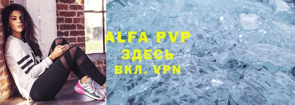 гидра Елизово