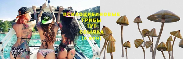 круглые Ельня