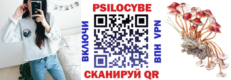 Псилоцибиновые грибы Cubensis  Купить где  Искитим 