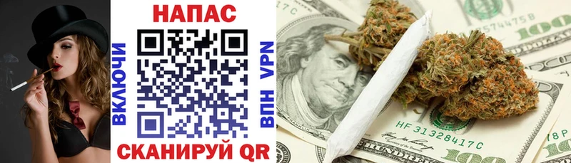Канабис план  Купить  Искитим 